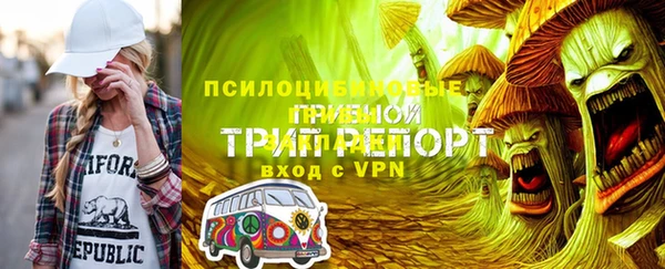 прущая мука Арсеньев